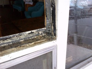 Asphalt Based Window Sealant