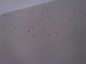 Tar Spots All Over The Boat