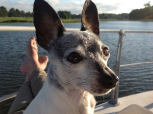 Every Day is a Friday